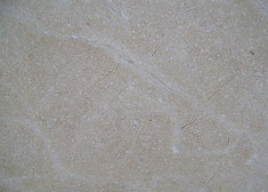 黃金米線圖片 黃金米線石材供應商 365石材網(wǎng)