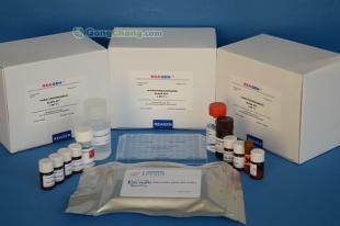 供應(yīng)呋喃妥因ELISA檢測試劑盒 精細(xì)化學(xué)品領(lǐng)域的精準(zhǔn)檢測利器
